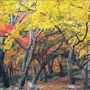 아산면사무소 이미지