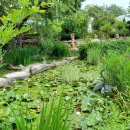 민들레울 이미지