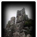 나의목장 이미지