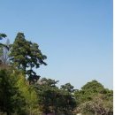 (주)남산 이미지