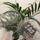 6월 제주 수국명소 마노르블랑 아기랑 가볼만한 곳 내돈내산