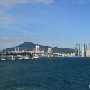 바다 어울림 이미지