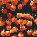 문리버1 이미지