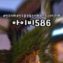 아이비586 이미지