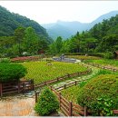 대아수목원 이미지