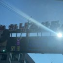 [하남수산물시장/와글와글수산] 수산물상품권 가능, 대방어 포장 후기 (대방어 가격 포함)