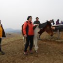 용눈이오름 주차장 이미지