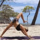 빈야사 & 전신 요가 이미지