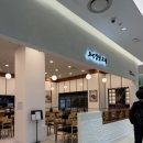수원 롯데백화점 타임빌라스 맛집 강남교자