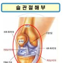 김도형 행정사 사무소 네이버블로그