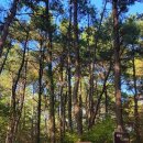 천주교 삼성산교회