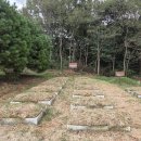 용머리 성당 충남 당진군 합덕읍 '신리성지 ' 순례 / 2025.10.9. 이미지
