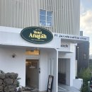 째즈호텔 - 완주군 둔산2로 33-4 | [제주][내돈내산] 호텔아나타 트윈베드 개인룸 1박 후기 (+ 째즈도 혼술)