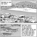 식  천 이미지