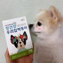 우리집 막둥이 | [강아지프로바이오틱스] 우리집막둥이 강아지유산균 급여 후기