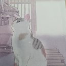 현대연립 | 타마키 야마토의 따뜻한 동물 소설, ‘이상한 고양이 연립주택1’ 솔직 감상후기