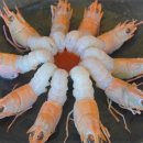 애월제주돈 이미지