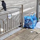 공공용 40 이미지