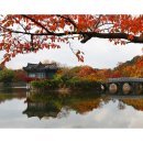 두류공원 이미지