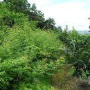 필성농장 이미지