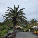 더클리프 | 제주 중문카페 더 클리프 내돈내산 후기