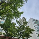 샘머리초교 | [임장] 부가진님 나눔강의 우수후기 작성자 대상 임장(대전 서구)