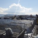 번영수산 이미지