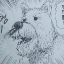더풀 이미지