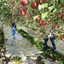 국립농산물품질관리원 문경사무소 이미지