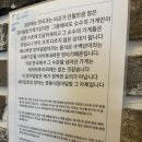 세끼모토