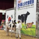 청혜목장 전국매일신문