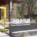 더네이쳐 이미지