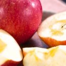 은정농원 이미지