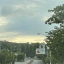 능이네오리세상 이미지