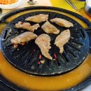 선운갈매기 이미지