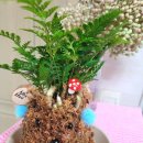 고사리마을회관 이미지