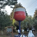 남원읍-31 | [2월 제주 여행] 서귀포 아이와 가볼만한곳 유진팡 체험 후기! 바나나 따기, 동백꽃 명소, 새끼 토끼 교감