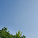 중앙대로332번길 이미지