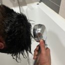 원클리닉의원 | 셀프두피클리닉 집에서 하는 방법