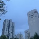 정자동 13-1번지 이미지