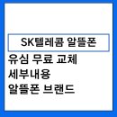 SK텔레콤 알뜰폰 유심 무료 교체 방법 | SKT 유심 무상 재발급 신청 총정리