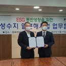 그린수지 이미지