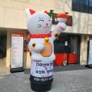 다미선어 | [내돈내산] 방이역 횟집 추천 다미선어