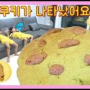 쥬쥬쿠키 이미지