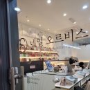 공덕네일 네일오르비스 이달의아트 봄맞이 디자인