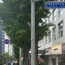 셀린뷰티 네이버블로그