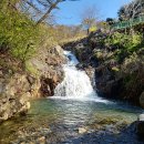 솔향기 가득한 펜션 이미지