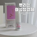 Y존 관리 여성청결제 이제 뿌려서 관리하자! 일동 와이세라 스프레이 솔직 후기