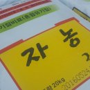 자농보카시영농조합법인 | 청춘귤밭 여름비료 시비-유기질비료 자농3호