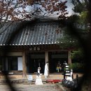 오도일 초상화 이미지